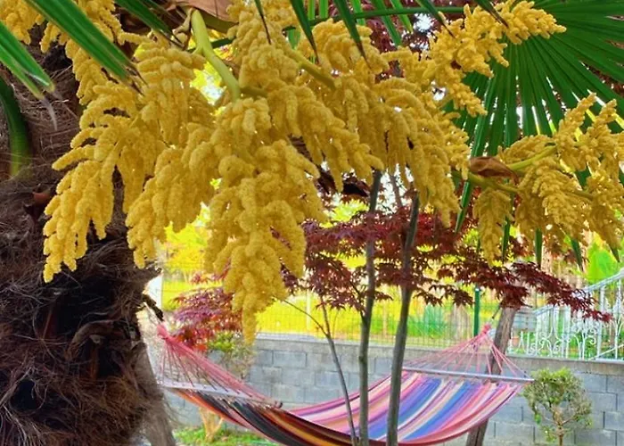 Kampou Leptokarya (Pieria)