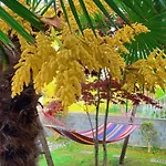 Kampou Leptokarya (Pieria)