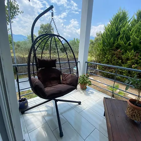 Kampou * Leptokaryá