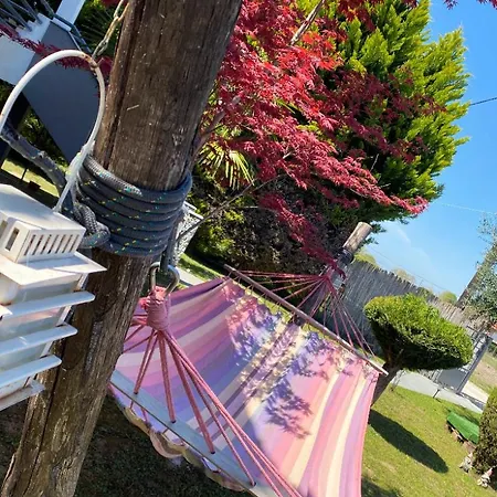 Kampou * レプトカリヤ