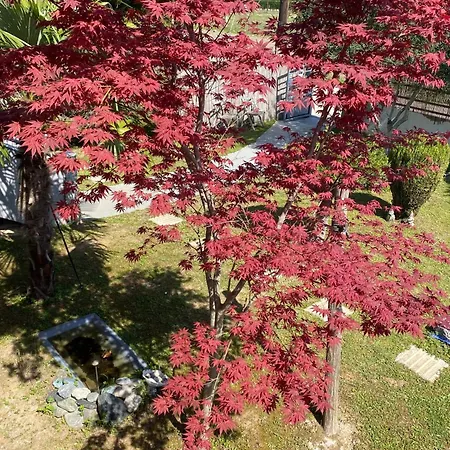 Kampou Hébergement de vacances Leptokaryá