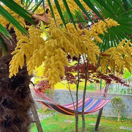 Kampou Leptokarya (Pieria)